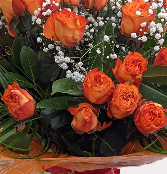 Perfect Roses - Image 4