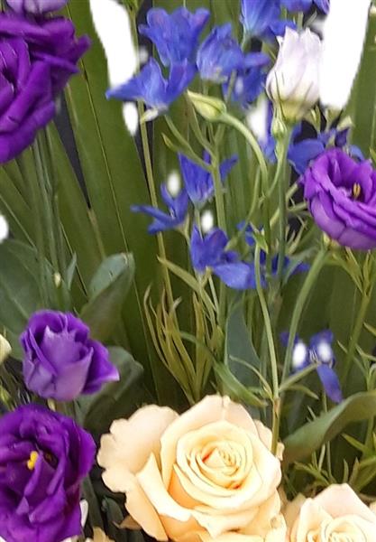 Fusion Basket Arrangement - Image 3