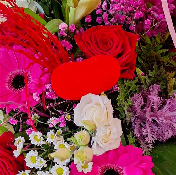 Bright Surprise - Image 4