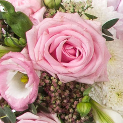 MUM Tribute - Image 3