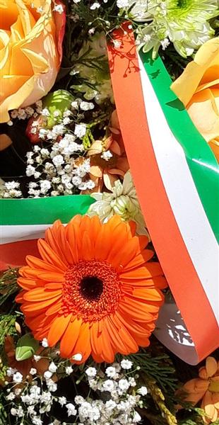Tricolour Spray - Image 3