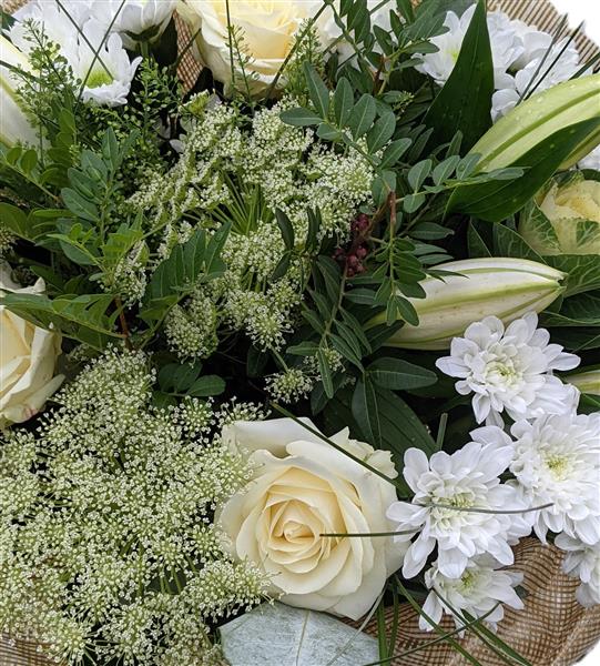 White Romance - Image 2