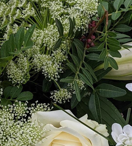 White Romance - Image 3
